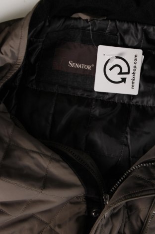 Herrenjacke Senator, Größe L, Farbe Grün, Preis € 13,36