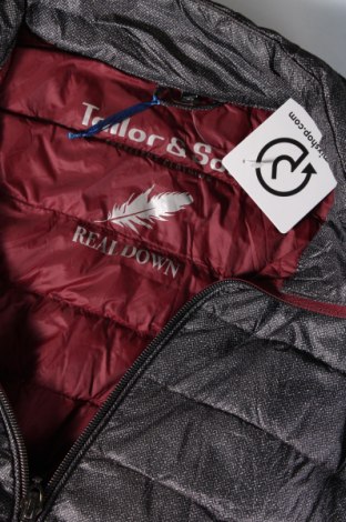 Ανδρικό μπουφάν Tailor & Son, Μέγεθος M, Χρώμα Γκρί, Τιμή 11,88 €