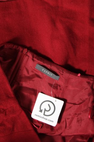 Φούστα Esprit, Μέγεθος L, Χρώμα Κόκκινο, Τιμή 11,67 €