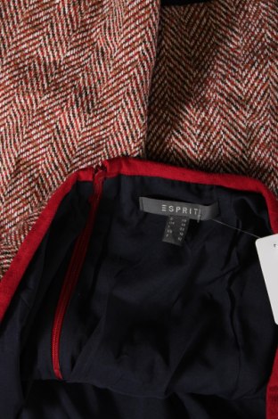 Φούστα Esprit, Μέγεθος L, Χρώμα Πολύχρωμο, Τιμή 8,99 €