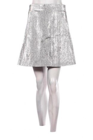 Φούστα H&M, Μέγεθος XL, Χρώμα Ασημί, Τιμή 4,70 €