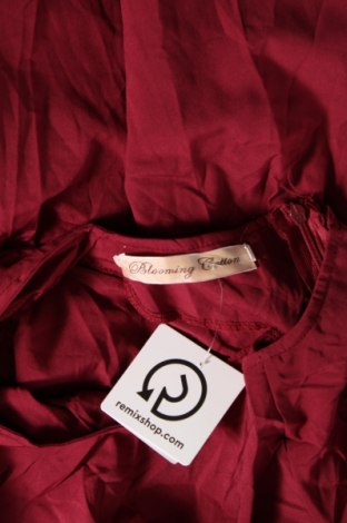 Kleid, Größe XXL, Farbe Rot, Preis 9,08 €
