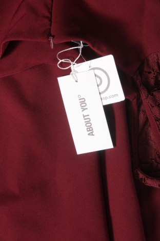 Kleid About You, Größe S, Farbe Rot, Preis 14,38 €