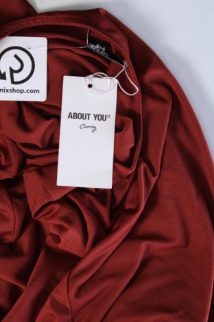 Kleid About You, Größe 3XL, Farbe Braun, Preis 29,77 €