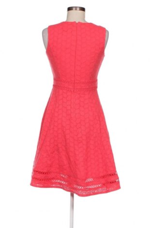 Kleid Calvin Klein, Größe S, Farbe Rosa, Preis 39,49 €