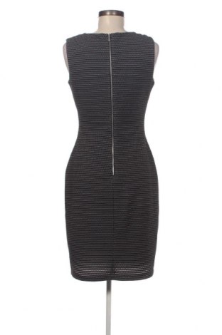 Kleid Calvin Klein, Größe S, Farbe Mehrfarbig, Preis € 75,85