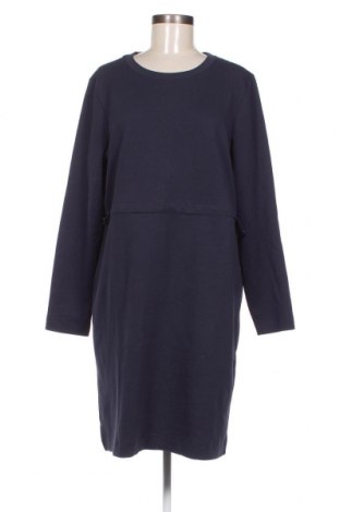 Kleid Cecil, Größe M, Farbe Blau, Preis 22,27 €