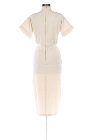 Kleid Closet London, Größe S, Farbe Beige, Preis € 48,20