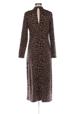 Kleid Dorothy Perkins, Größe L, Farbe Mehrfarbig, Preis € 15,88