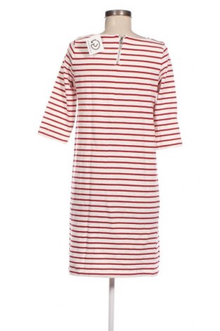 Kleid Esmara, Größe M, Farbe Mehrfarbig, Preis 9,08 €