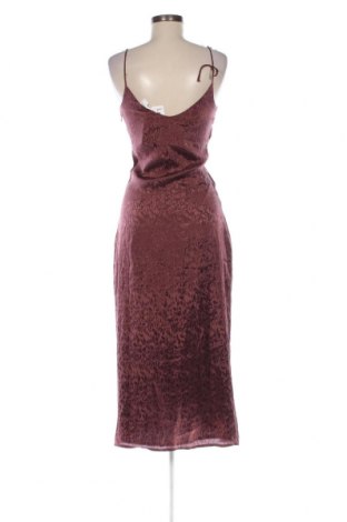 Kleid Guido Maria Kretschmer for About You, Größe XS, Farbe Aschrosa, Preis € 55,67