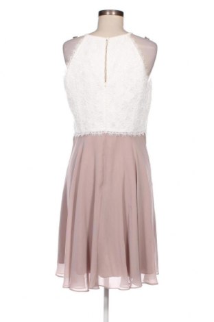 Kleid Jake*s, Größe L, Farbe Mehrfarbig, Preis € 28,86