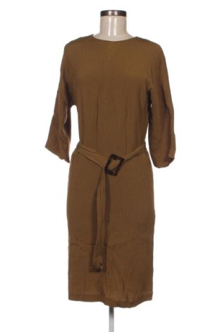 Kleid Massimo Dutti, Größe L, Farbe Grün, Preis 25,62 €