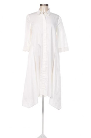 Kleid Riani, Größe S, Farbe Ecru, Preis 98,20 €
