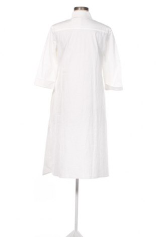 Kleid Riani, Größe S, Farbe Ecru, Preis 196,39 €