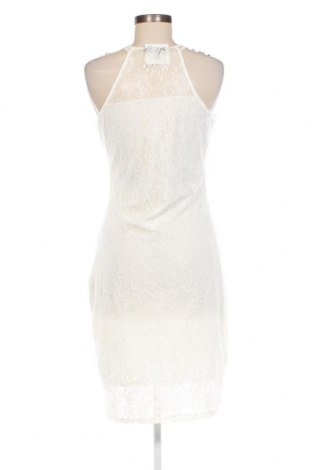 Φόρεμα Terranova, Μέγεθος L, Χρώμα Εκρού, Τιμή 20,17 €