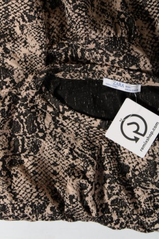 Kleid Zara, Größe S, Farbe Mehrfarbig, Preis 6,72 €