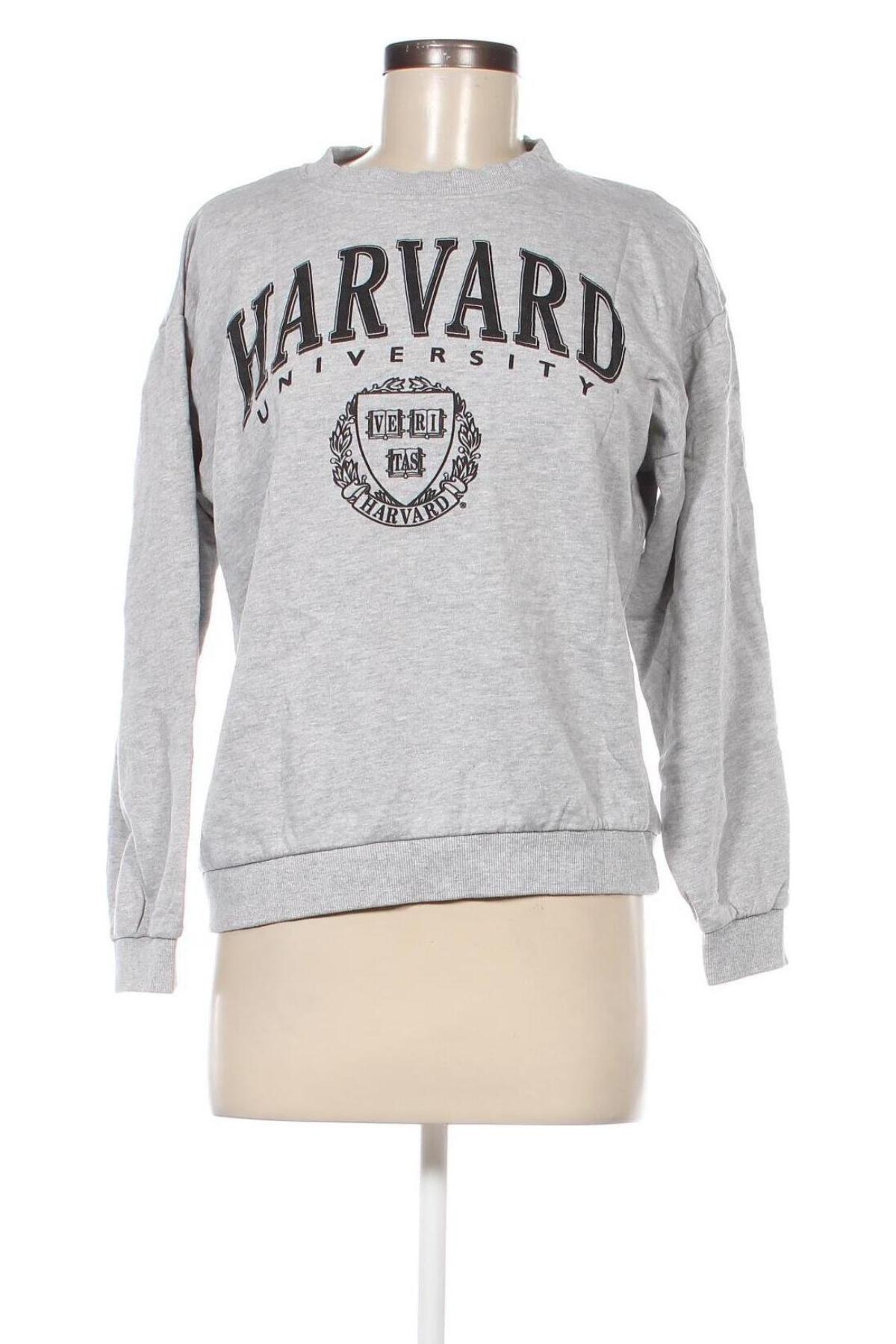 Damen Shirt Harvard, Größe S, Farbe Grau, Preis € 4,73