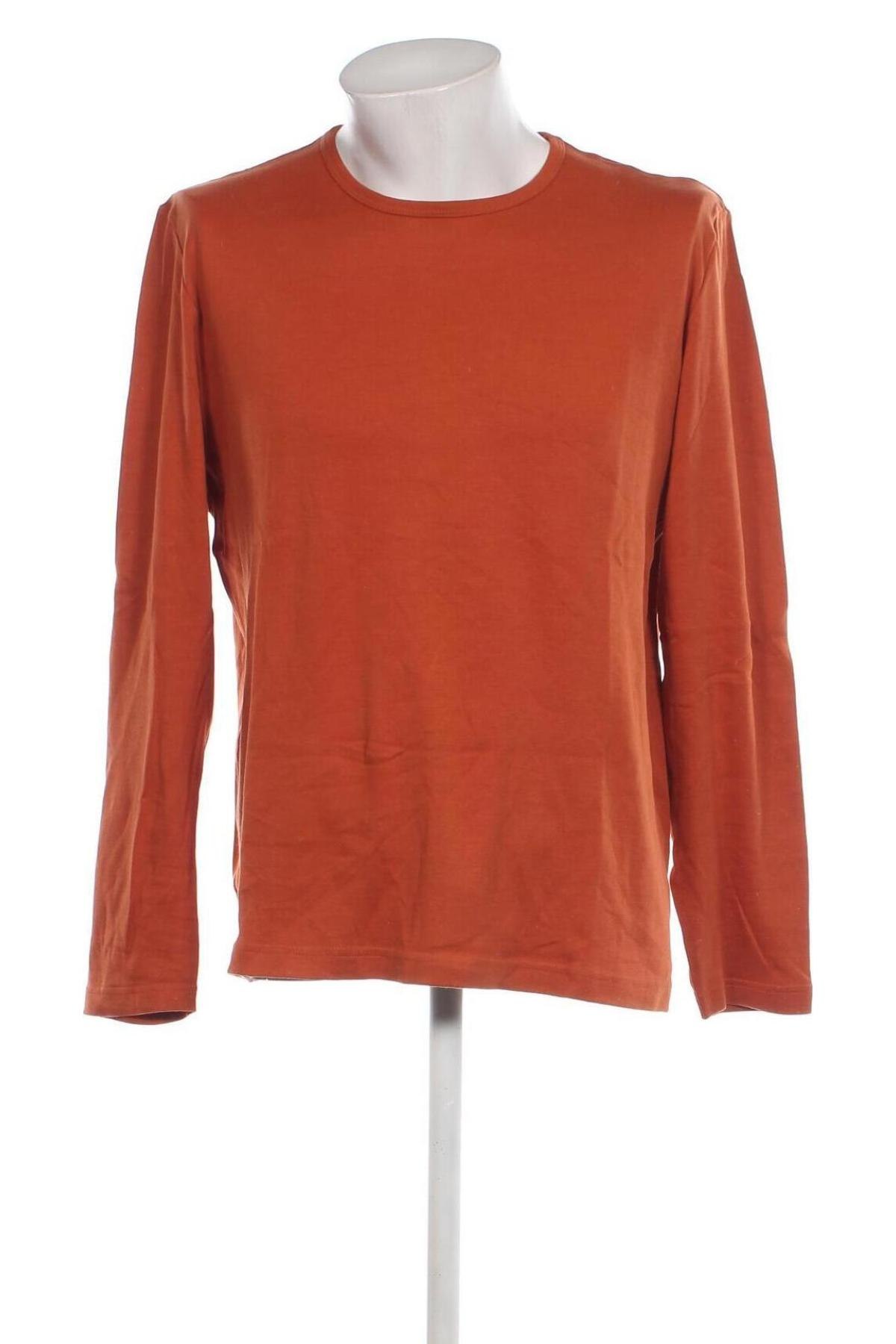 Ανδρική μπλούζα Watson's, Μέγεθος XL, Χρώμα Καφέ, Τιμή 6,68 €