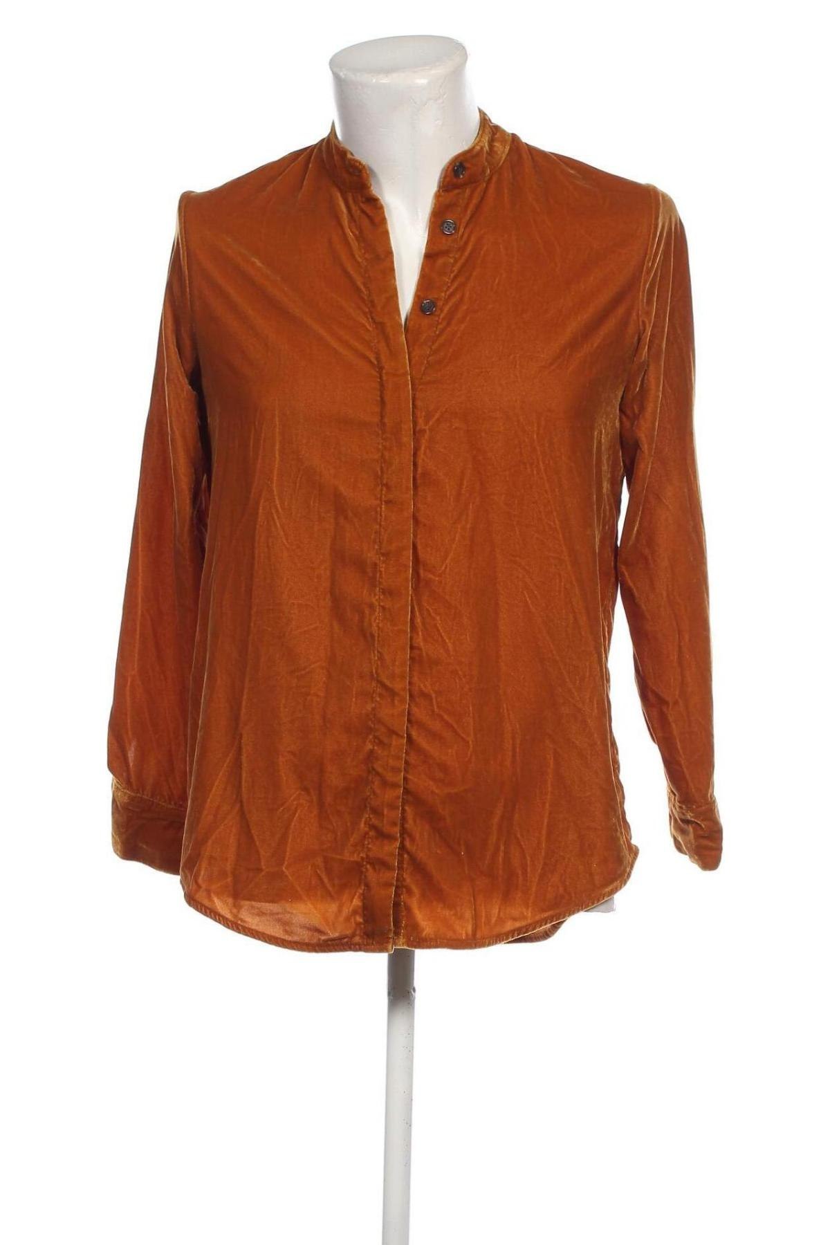 Herrenhemd Soft Surroundings, Größe S, Farbe Gelb, Preis 5,92 €