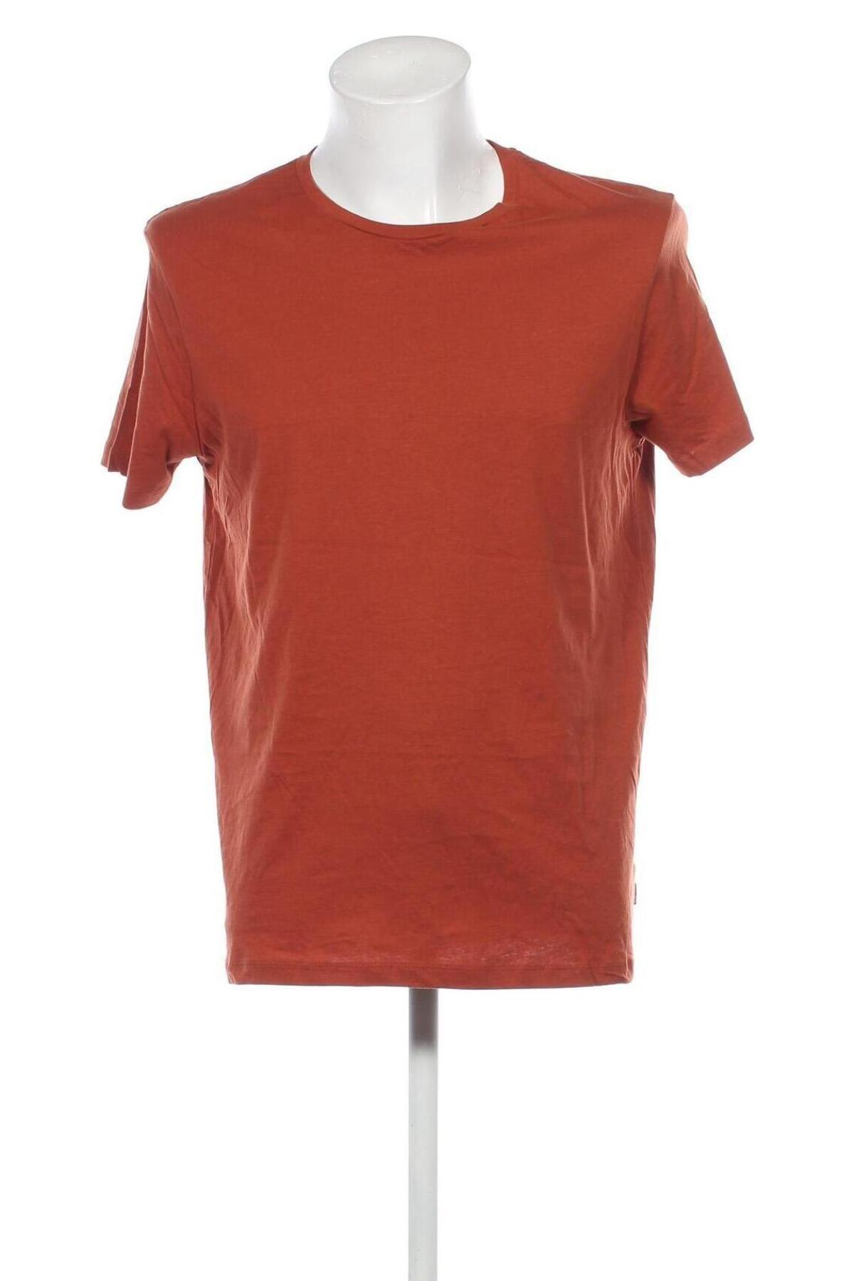 Herren T-Shirt Burton, Größe L, Farbe Braun, Preis € 37,11