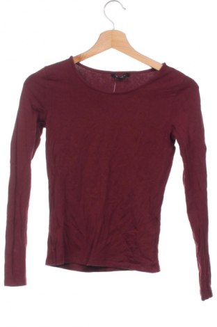 Damen Shirt Amisu, Größe XS, Farbe Rot, Preis € 8,99