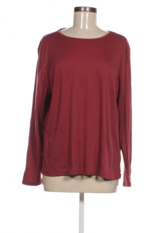 Damen Shirt Black Pepper, Größe 3XL, Farbe Rot, Preis € 13,99