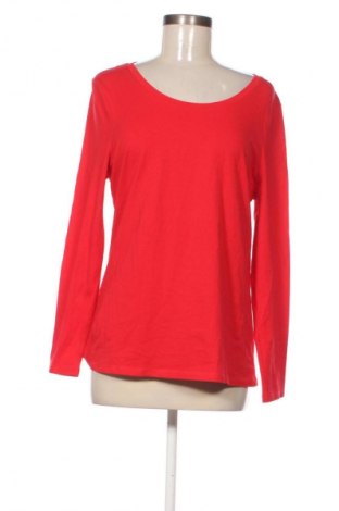 Damen Shirt C&A, Größe L, Farbe Rot, Preis 13,99 €