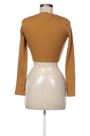 Damen Shirt Edited, Größe S, Farbe Braun, Preis 53,99 €