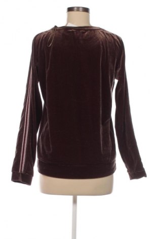 Damen Shirt Esprit, Größe M, Farbe Mehrfarbig, Preis € 9,99