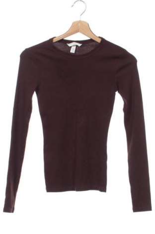 Дамска блуза H&M, Размер XS, Цвят Кафяв, Цена 11,99 лв.