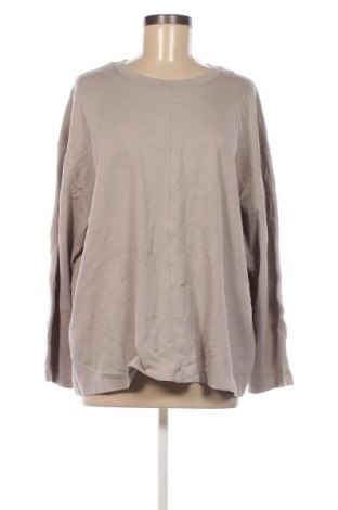 Damen Shirt H&M, Größe XL, Farbe Beige, Preis € 13,99