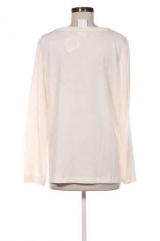 Damen Shirt Lascana, Größe XL, Farbe Ecru, Preis 21,99 €