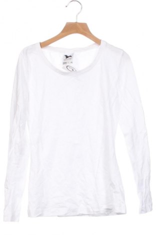 Damen Shirt Malfini, Größe XS, Farbe Weiß, Preis € 9,72