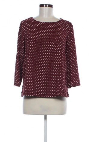 Damen Shirt Mango, Größe S, Farbe Mehrfarbig, Preis € 18,99
