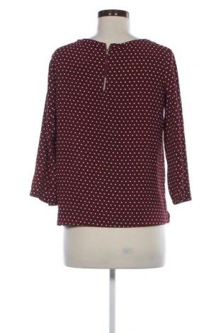 Damen Shirt Mango, Größe S, Farbe Mehrfarbig, Preis € 18,99