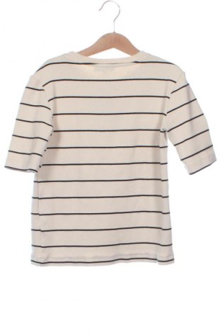 Γυναικεία μπλούζα Massimo Dutti, Μέγεθος XS, Χρώμα Πολύχρωμο, Τιμή 21,67 €