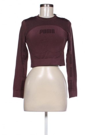 Bluzka damska PUMA, Rozmiar M, Kolor Brązowy, Cena 187,33 zł