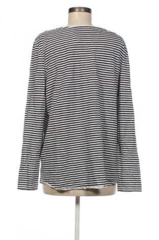 Damen Shirt S.Oliver, Größe XL, Farbe Mehrfarbig, Preis € 9,99