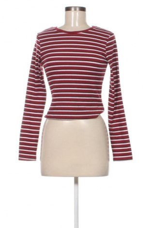 Damen Shirt Terranova, Größe M, Farbe Mehrfarbig, Preis € 13,99