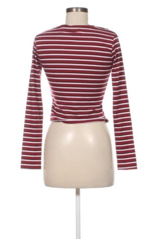 Damen Shirt Terranova, Größe M, Farbe Mehrfarbig, Preis € 13,99
