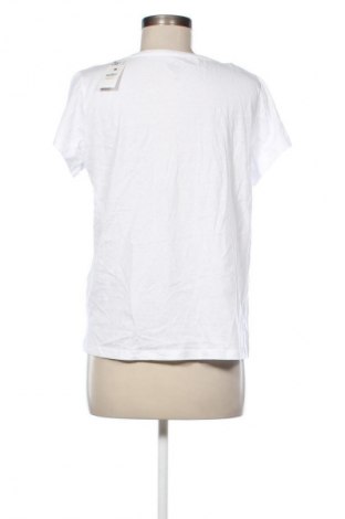 Bluzka damska Tex, Rozmiar XL, Kolor Kolorowy, Cena 52,99 zł