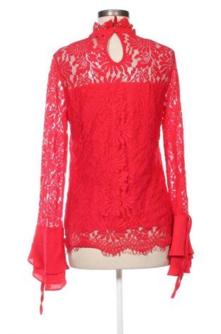 Damen Shirt Unika, Größe L, Farbe Mehrfarbig, Preis € 6,99
