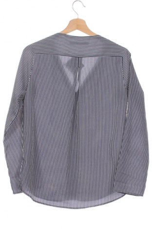 Damen Shirt Zara, Größe XS, Farbe Mehrfarbig, Preis € 20,46