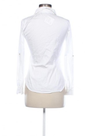 Damen Shirt Zara, Größe M, Farbe Weiß, Preis 10,99 €