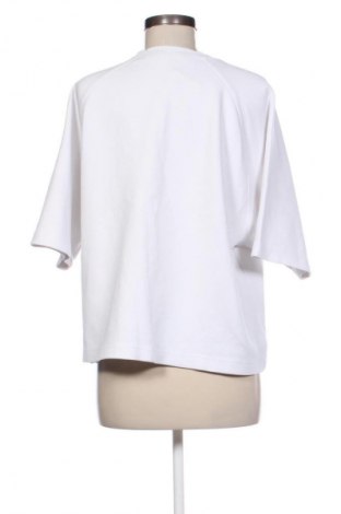 Damen Shirt Zara, Größe S, Farbe Weiß, Preis € 10,23