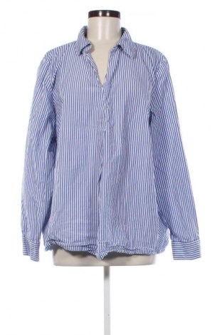 Bluzka damska Zizzi, Rozmiar XXL, Kolor Kolorowy, Cena 45,99 zł