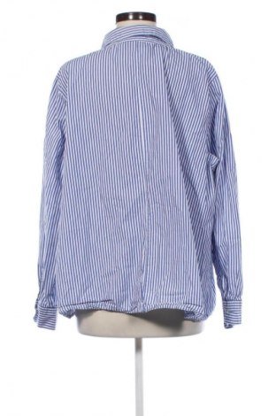 Bluzka damska Zizzi, Rozmiar XXL, Kolor Kolorowy, Cena 45,99 zł