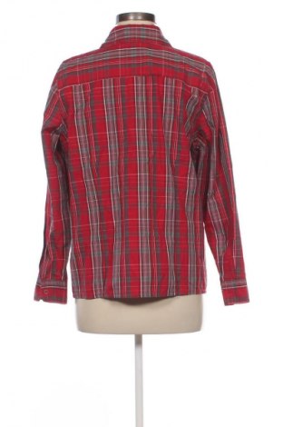 Damenbluse Ambra, Größe L, Farbe Mehrfarbig, Preis 6,99 €