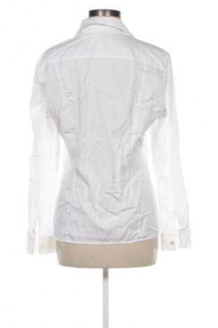 Damenbluse Escada, Größe M, Farbe Weiß, Preis 72,63 €